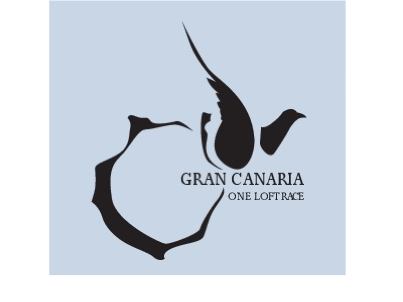 DERBY-GRAN CANARIA_logo_800x600