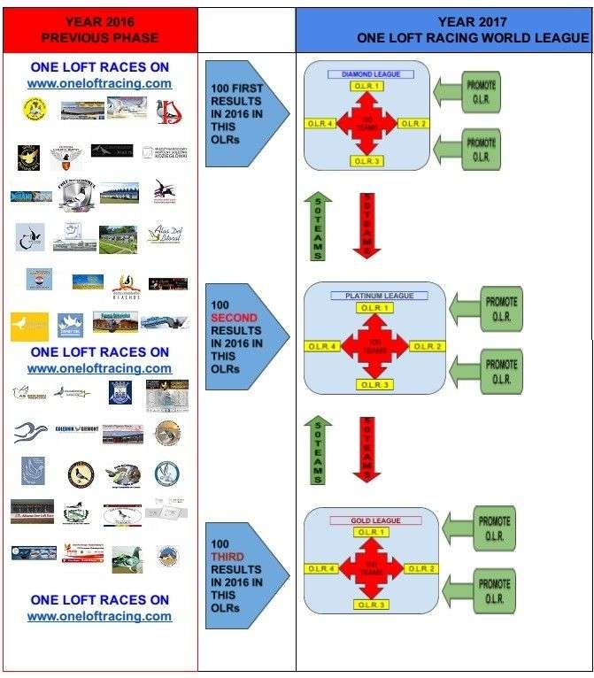 One Loft Racing World League Operation