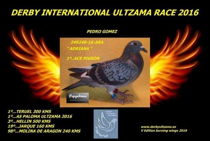 PUESTO-3-PEDRO-GOMEZ-AS-PALOMA-derby-ultzama-2016