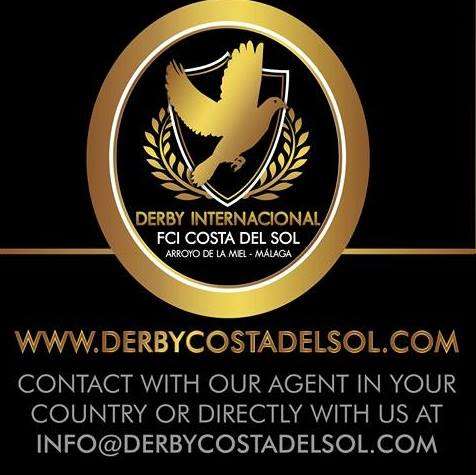 derby-costa-del-sol-2016-logo