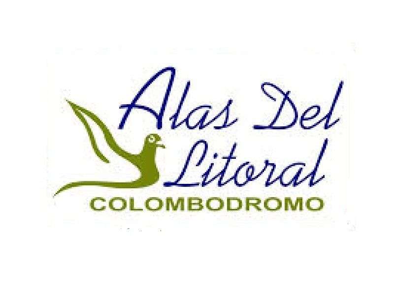 logo-alas-del-litoral_800x600-1