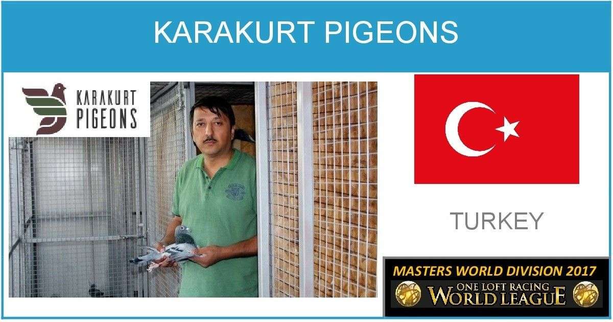 karakurt-pigeons
