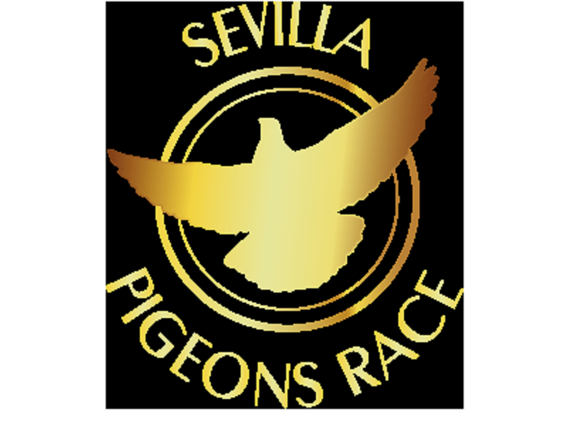sevilla-pigeons-race_logo_800x600